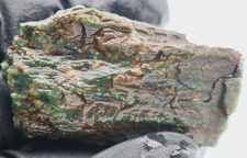 Blue Green Hampton Butte Jasperized Petrified Wood Rough Natural Raw Rare 1.00oz picture