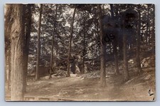 J93/ West Farmington Ohio RPPC Postcard c1910 Forest Park Trees Asper304 picture