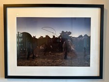 Jason Whitman Cowboy Photography “Roping Out of the Remuda” picture