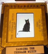 SALEM CAT 1/1 SABRINA THE TEENAGE WITCH SLIDESHOW like leaf metal pop century picture