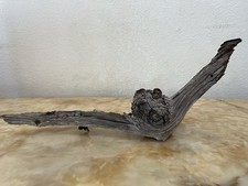 Ancient 1854 Big Burn Weathered Conifer Heartwood Burl Knot Sculpture Specimen picture