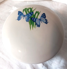 Blue Butterfly 6