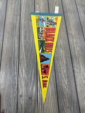 Vintage Black Hills South Dakota Souvenir Pennant Flag Travel Collectors Item picture
