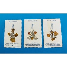 Vintage Bethlehem Pressed Flowers from the Holy Land Cards Set of 3 Botanical picture
