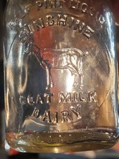 OLD SUNSHINE GOAT DAIRY MASSACHUSETTS HALF PINT w EMBOSSED GOAT NICE PICTORIAL  picture