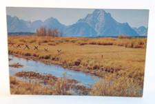 c. 1956 Mount Moran West in Color Grand Teton Wyoming Vintage Postcard picture