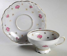 Winterling - Bavaria Heritage  Cup & Saucer 770618 picture