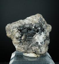 Manganite {TL} / Ilfeld, Germany / Rare Mineral Crystal Specimen picture