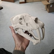 Saber-Toothed Tiger Skull 3D Print Model Cosplay Prop Fish Tank Decor Fossil picture