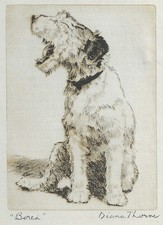 Wire Fox Terrier - CUSTOM MATTED - Vintage Dog Art Print - 1936 Diana Thorne picture