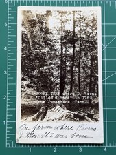 RPPC Real Photo Postcard BOONE TREE “D. Boone Killed Barr” Jonesboro, Tenn. picture