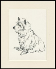 CAIRN TERRIER VINTAGE 1937 DOG ART PRINT by LUCY DAWSON READY MOUNTED picture