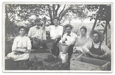Group Picking Berries RPPC Photo Postcard Ontario Kansas 1910s picture