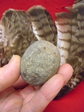 RAW HIDE ATTACHED WAR CLUB - DES MOINES RIVER - KEOSAUQUA IOWA COLLECTION picture