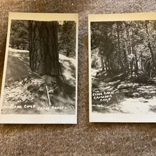 Lot of 4 RPPC 1920's Cedar Crest Crusader Camp California Vintage Unposted picture