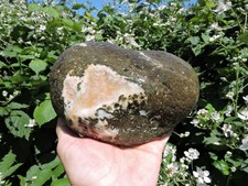 UNUSUAL OREGON MYSTERY STONE Agate Rhyolite Nodule? w/ Fortification (5 lbs+) picture