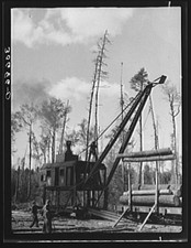 Photo:Effie Minnesota 1900s Logging Crane Loading Logs Railroad Car picture