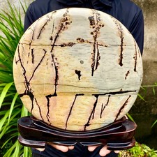 8LB Beautiful Natural Chinese Dendritic Limestone Picture Stone Guohua-Rare picture