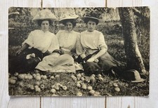 Antique RPPC 3 Lovely Women Posing Outside Under Apple Tree picture