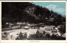 Antique Postcard Saltese Montana Houses Mountain Train picture