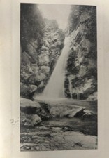 1911 Mill Creek Falls Sandwich MA Cape Cod Postcard Schlesinger Bros Posted picture
