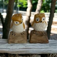 Owl Salt & Pepper Shakers Vintage Hand Painted Owls on Log Ceramic VTG Taiwan picture