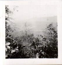 Vintage 1960s Black & White Landscape Photograph United States Antique picture