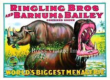 Ringling Bros. Barnum & Bailey Circus Hippo  Poster Greatest Show on Earth Large picture