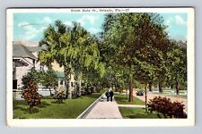 Orlando FL-Florida, Residential District, South Main Street, Vintage Postcard picture