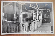 Mt Rainier National Park WA Paradise Inn Office Curtis Real Photo Postcard RPPC picture