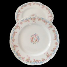2 Antique Bassett Limoges Side Plates Pink Blue Floral Salad Bread Austria  picture