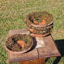 Set of 5 DeRoma Terracotta Saucer 6.25