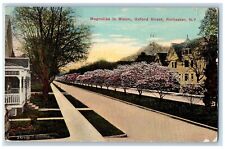 1914 Magnolias In Bloom Oxford Street Rochester New York NY Antique Postcard picture