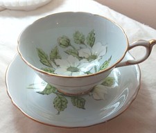 Paragon Tea Cup & Saucer Mint green Dogwood Gold Trim Double Warrant Vintage picture