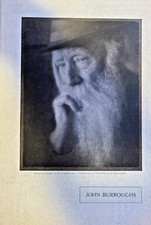 1913 Vintage Magazine Illustration Naturalist John Burroughs picture