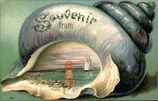 Shell with seascape Seashells Embossed c1900s-10s Vintage Postcard picture