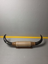 Vintage Mounted Steer Horns 20