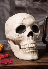 Large Skull picture