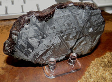 large 223 gm. muonionalusta meteorite SLICE etched  sweden std  slab .5# picture