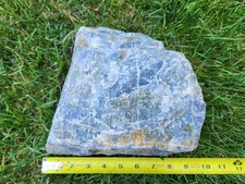 XL 18.5 Rough Peacock Labradorite, Ideal for Lapidary, Ships from NY picture