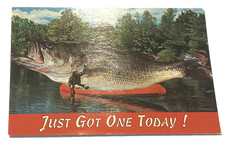 Just Got One Today Exaggerated Postcard Fish Ozark Postcard Publishers  picture