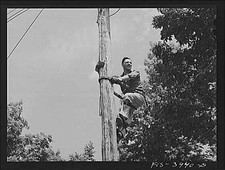 Photo:Lauderdale County Alabama 1930s TVA Lineman Climbing Utility Pole picture