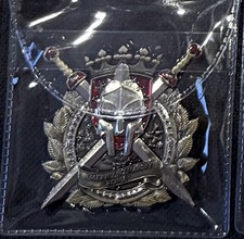 Marine Security Guard Detachment MSG Challenge Coin Rome picture