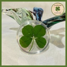 Genuine Four Leaf Clover Good Luck Charm Floating in a Pocket Token Shamrock picture