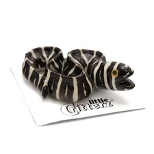 Little Critterz Fish - Zebra Moray Eel 
