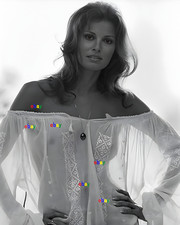 RAQUEL WELCH ACTRESS HOLLYWOOD LEGEND 8