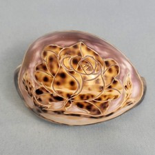 Vintage Carved Cowrie Shell Rose Floral Design Polished Seashell Decor picture