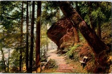 Vintage Postcard 1907-1915 Pathway to Devil's Pool, Philadelphia, PA picture