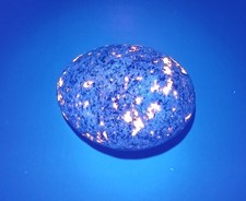 Fluorescent Sodalite (Yooperlite)  A Bright 4.5 oz Lake Superior Stone picture