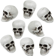 8 Pcs Halloween Small Skull Heads, 2.4 in Skeleton Skulls for Decor picture